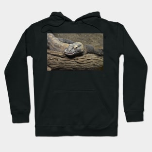 Komodo dragon Hoodie